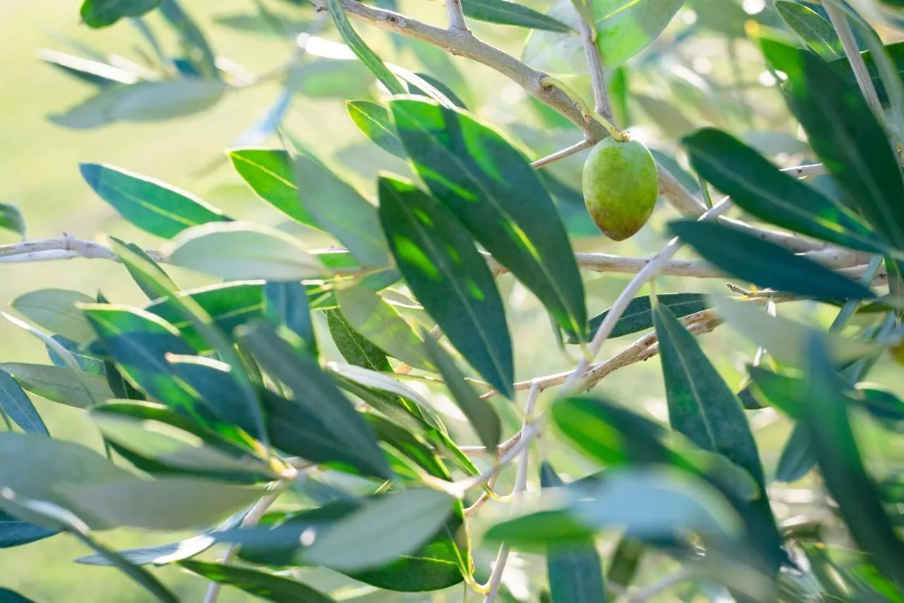 Agriturismo Terre Di Castiglione Castiglione della Pescaia Séjour à la ferme