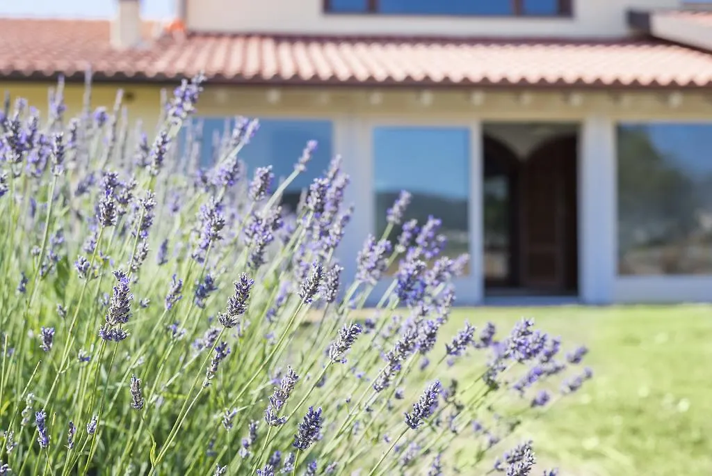Agriturismo Terre Di Castiglione 卡斯蒂里昂纳·德拉佩 意大利