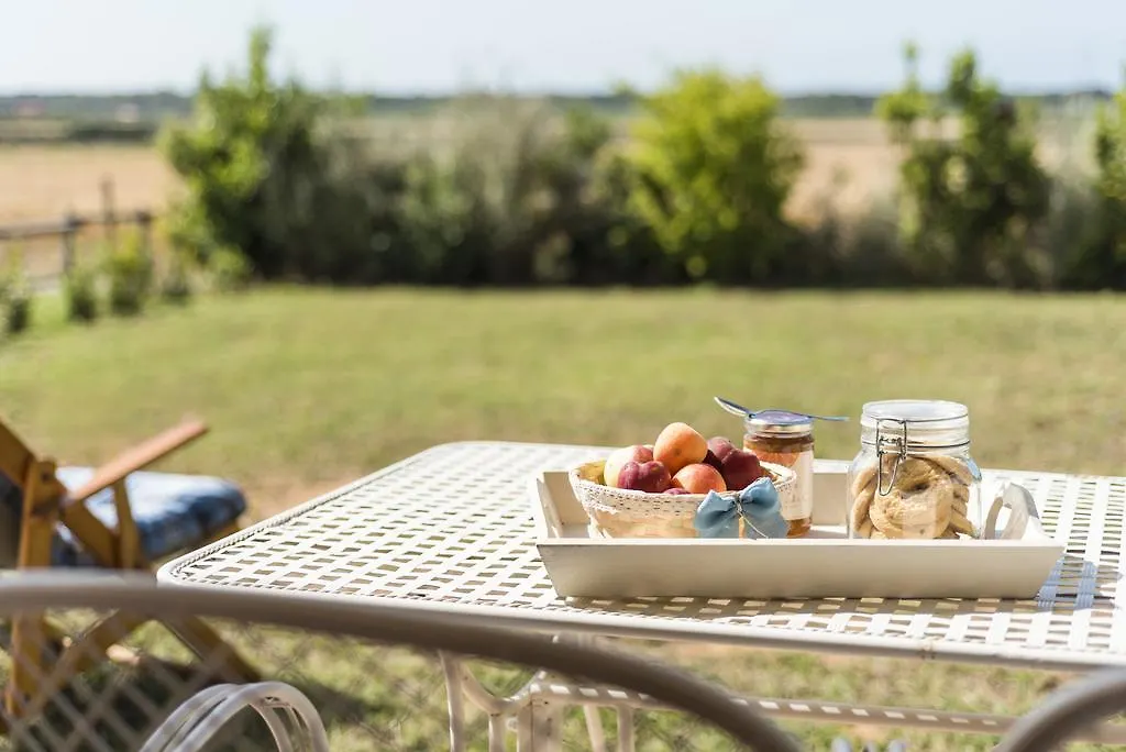 Agriturismo Terre Di Castiglione 卡斯蒂里昂纳·德拉佩