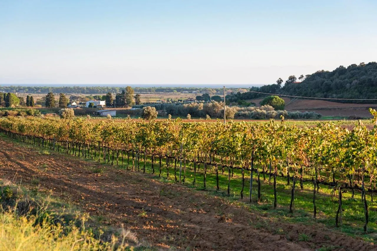 Agriturismo Terre Di Castiglione 卡斯蒂里昂纳·德拉佩 农家乐
