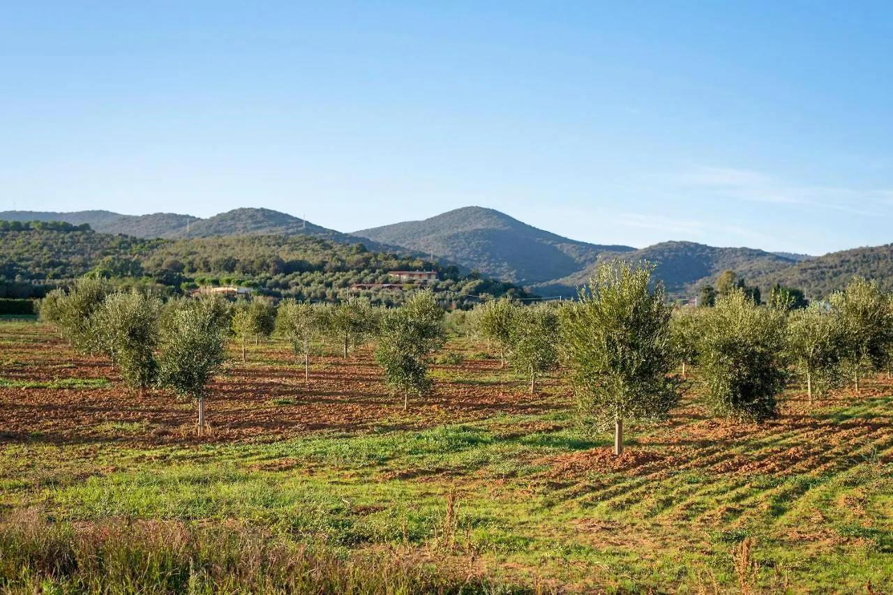 农家乐 Agriturismo Terre Di Castiglione 卡斯蒂里昂纳·德拉佩