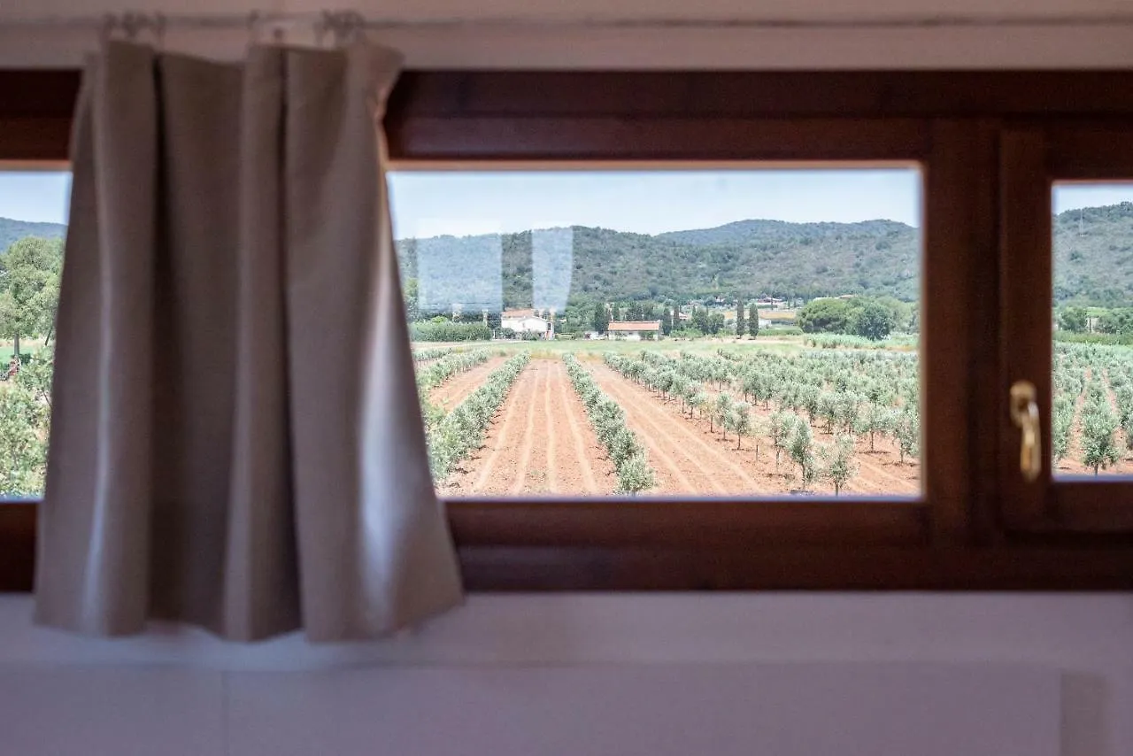 Agriturismo Terre Di Castiglione 卡斯蒂里昂纳·德拉佩 农家乐